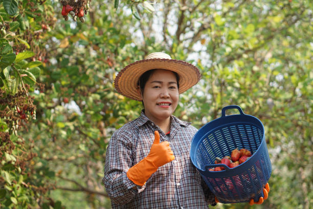 giới thiệu